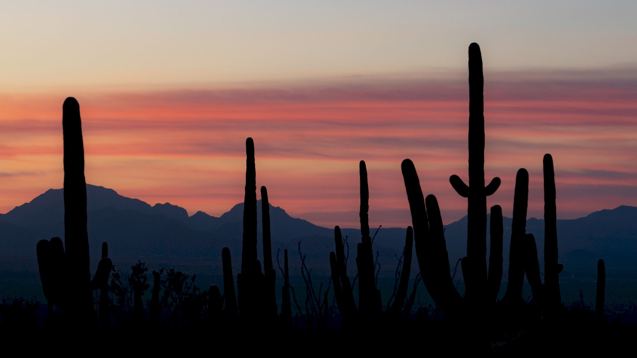 Things to Do in Old Town Scottsdale | Senna House Hotel